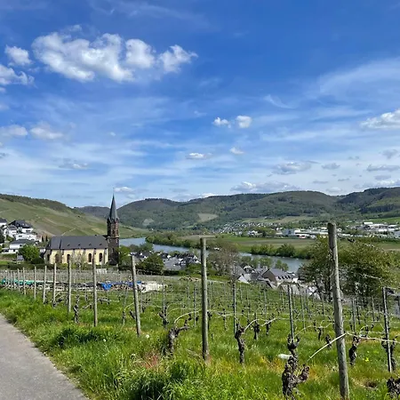 Moderne Zur Schlosshoehe Apartament