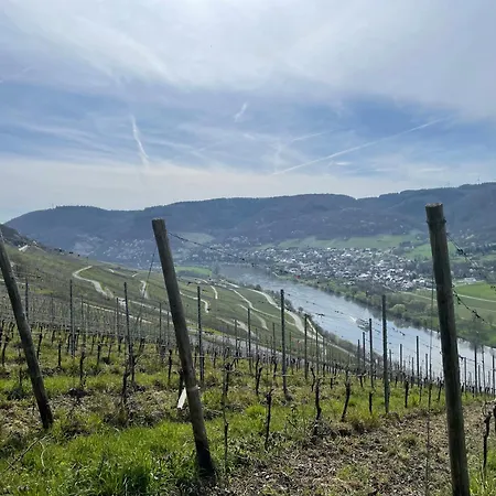 Moderne Zur Schlosshoehe