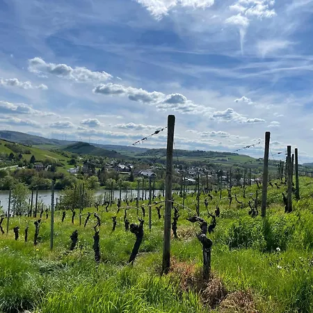 Moderne Zur Schlosshoehe Lieser