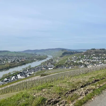 Moderne Zur Schlosshoehe Appartement Lieser