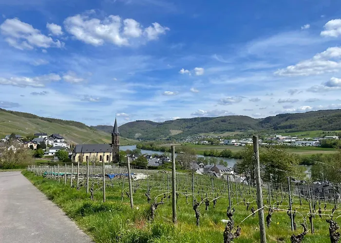 Moderne Zur Schlosshoehe Apartmán