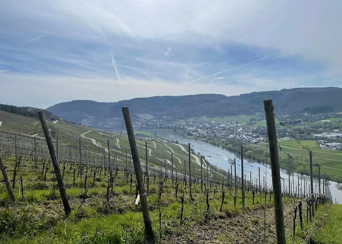 Moderne Zur Schlosshoehe