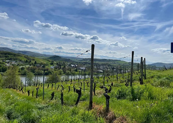 Moderne Zur Schlosshoehe Lieser