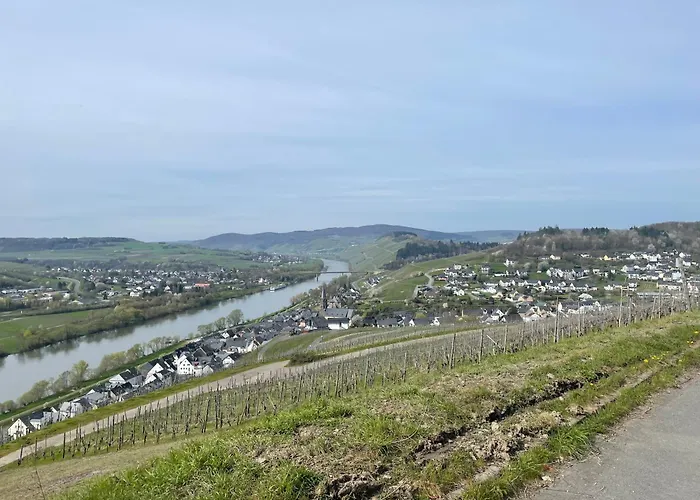 Moderne Zur Schlosshoehe Apartmán Lieser